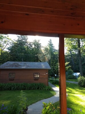 Lilies and a perfect spider web in the sun. Front porch, looking towards garage.