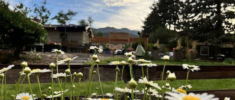 Mountain views from the fresh garden