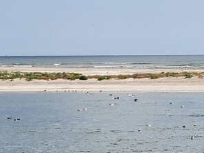 Stone Harbor Preserve 
View from property