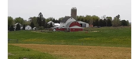 The farm from Cty Hwy T