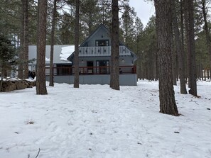 Cabin in the winter