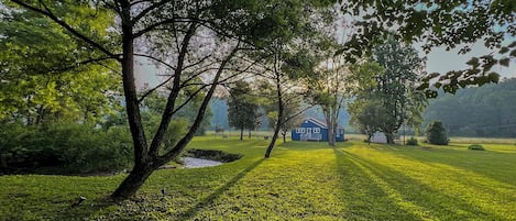 Carolina Joy vacation rental in Robbinsville NC - backyard and creek view