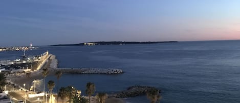 Vue sur la plage/l’océan