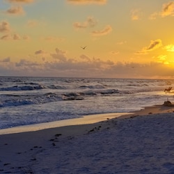 Playa