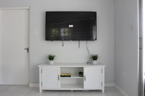 55 inch TV, Entertainment Center, and Books about Jamaican Culture & History.