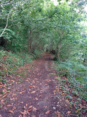 Sentier de randonnée aux bords de l'Aber