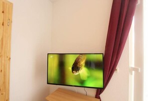 Television
