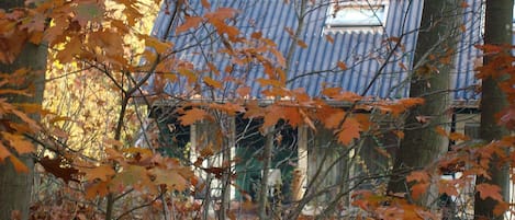 Außenseite Ferienhaus [Winter]