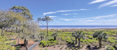 Patio View