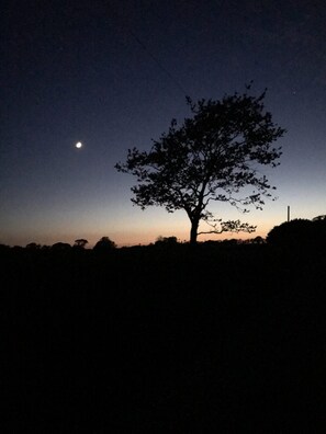 Aussicht