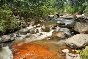 Oak Creek near home