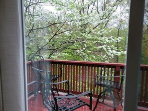 A sneak peek of the view from the back deck…even beautiful on a rainy day. 