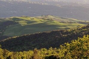 Panoramic view