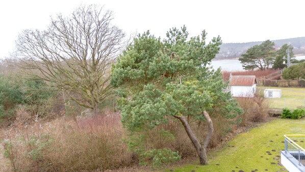 Utsikt från boendet