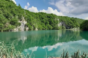 Region [summer] (&gt;5 km)
