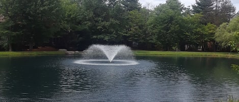 Love that fountain calm and soothing!  