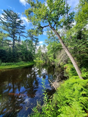 Boendeområde