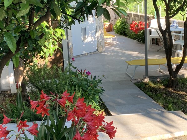Terrass/Patio