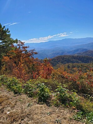 Foothills Parkway -Best Scenic Drive 
Entrance about 5 Miles from cabin 