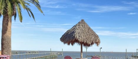 Beautiful day poolside on Galveston Bay 