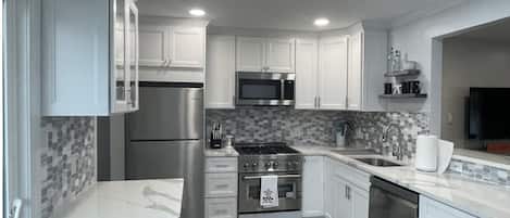 Brand-new, high-end, spacious kitchen with a z-line gas stove