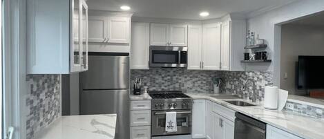 Brand-new, high-end, spacious kitchen with a z-line gas stove