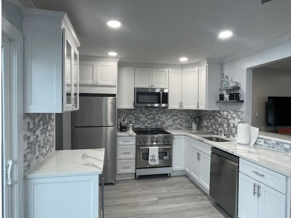 Brand-new, high-end, spacious kitchen with a z-line gas stove