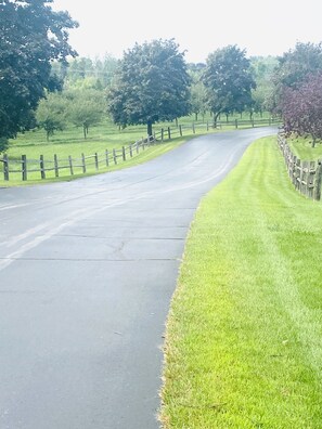 Path to/from the condo. 