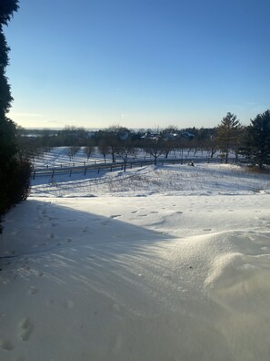 Winter view of cherry orchards from the condo. 