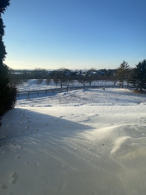 Winter view of cherry orchards from the condo. 