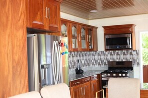 Large Modern Kitchen