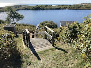 Stairs leading to the dock in our backyard where we have Kayaks for you to use