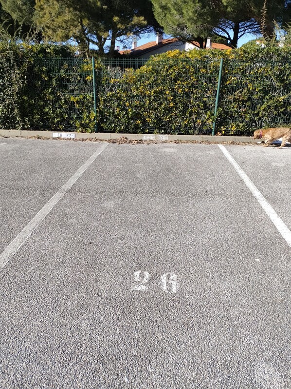 Property grounds