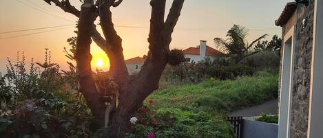 Terrenos do alojamento