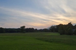 Meadow views from the cabin 