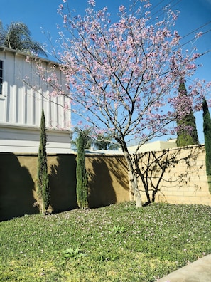 Private/ / grassy backyard of the guest house