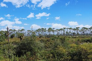 Bay View