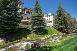Burgess Creek
