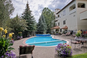 Pool in Summer