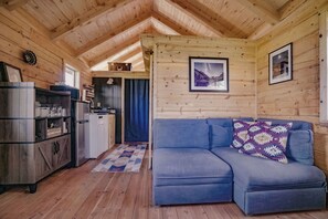 Cozy living room. Sofa folds out to a twin size bed