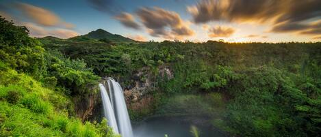 Welcome to Kauai!