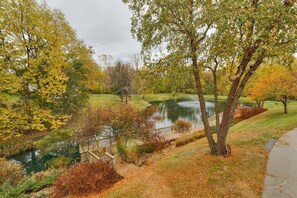 Beautiful Pond Setting