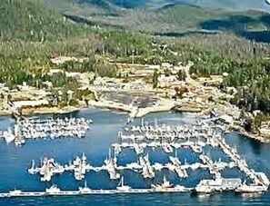 Aerial view of Auke Bay Harbor