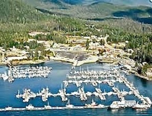 Aerial view of Auke Bay Harbor