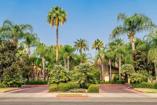 Enjoy a stroll through the complex amongst the palm trees