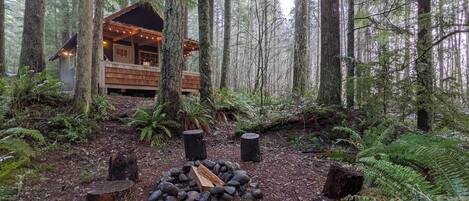 Tahoma Park House view from the firepit