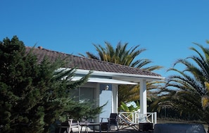 Front view