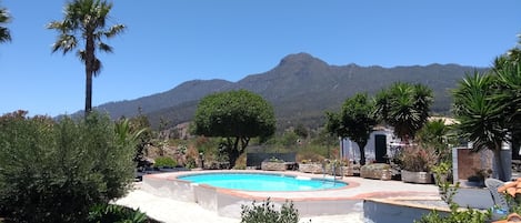 Pool im subtropischen Garten mit Sonnenliegen