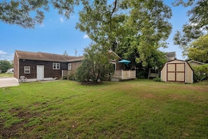 Big backyard