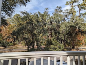 Front Porch view